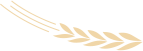 _0